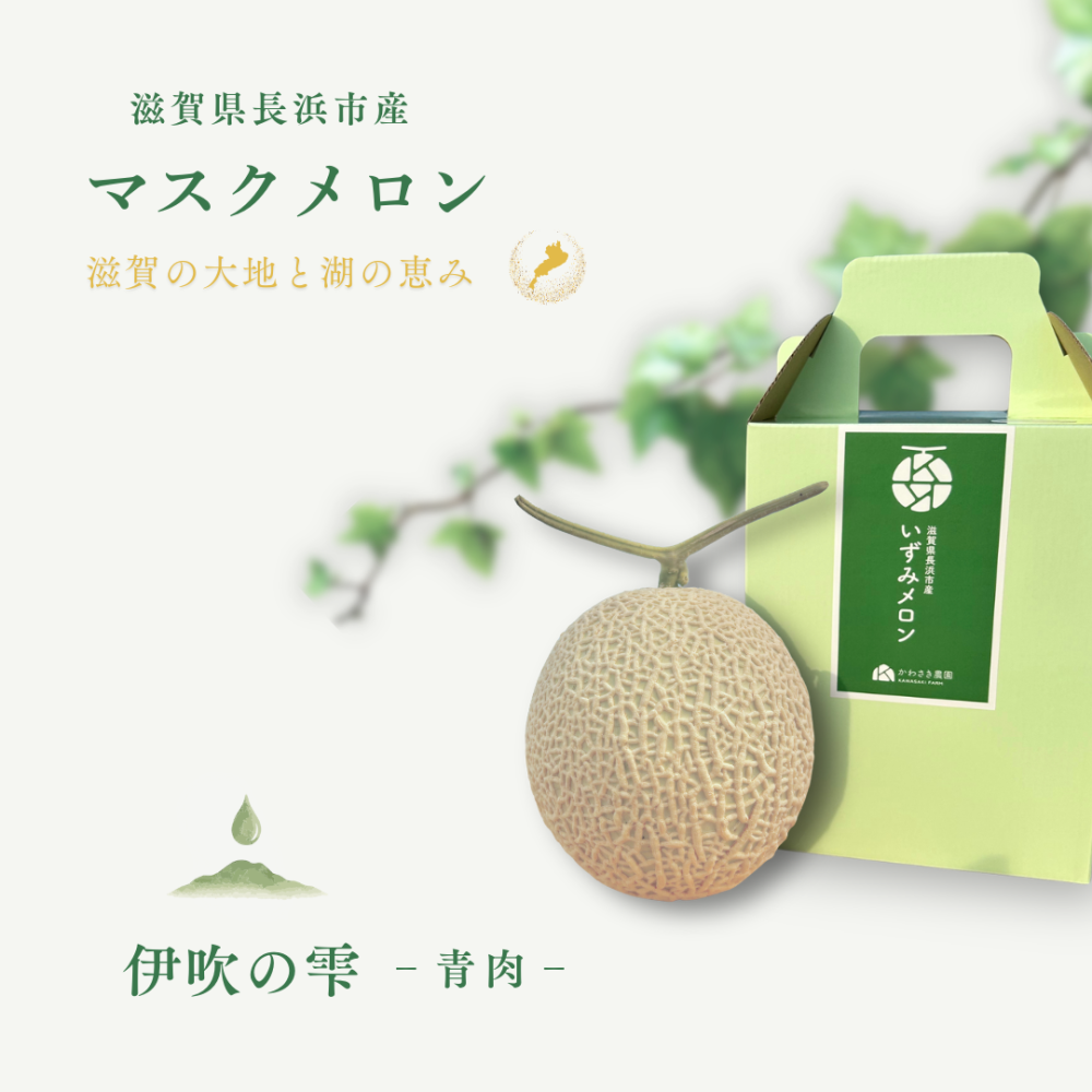 マスクメロン (10)