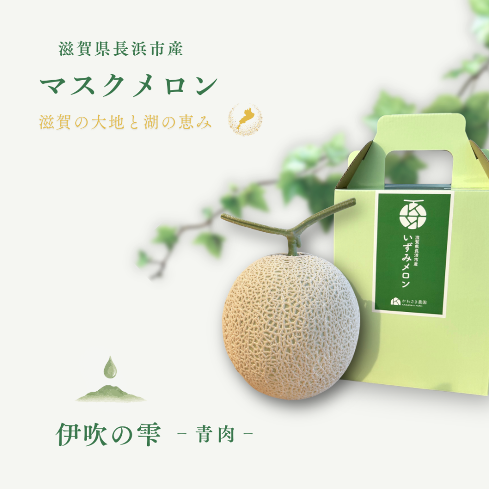 マスクメロン (8)