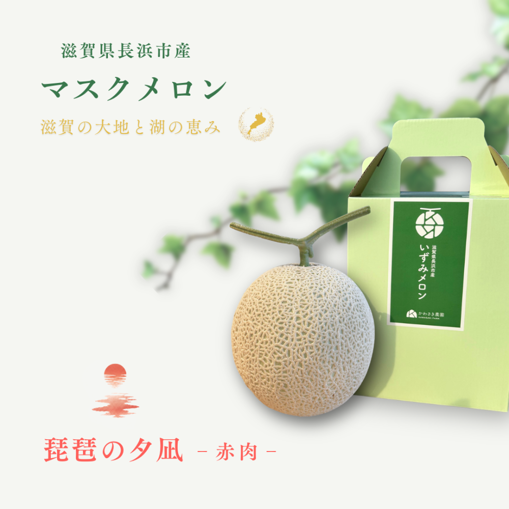 マスクメロン (9)