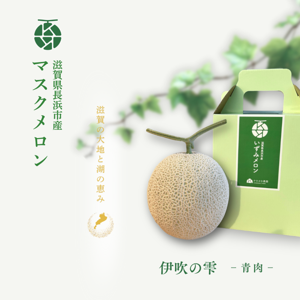 マスクメロン
