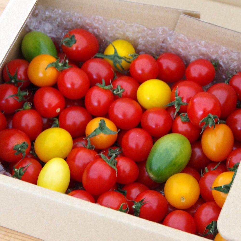 使用 (2)こちらを使用